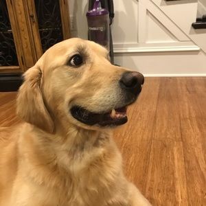 Meet your Posher, Chris